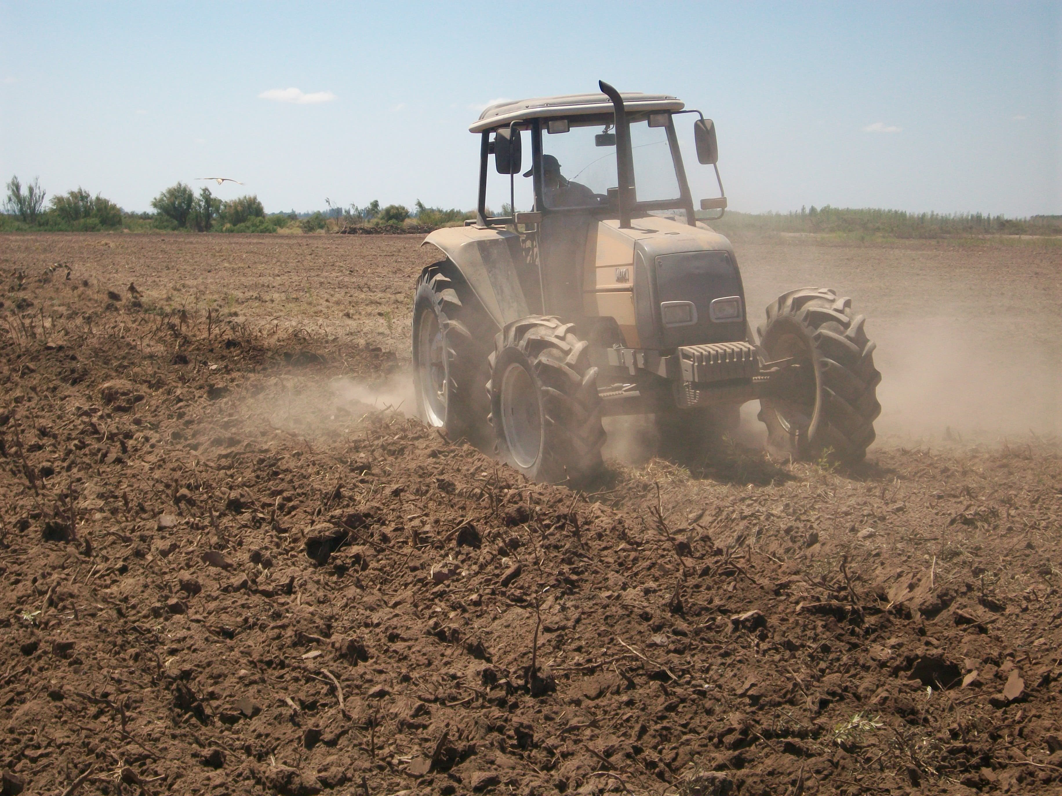 Retroexcavadoras, tractores, cargadoras, alquiler de maquinarias